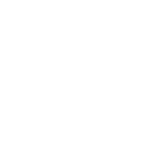 WHITEBALL CREATIVE SOLUTIONS (PTY) LTD official professional brand Logo and Icon.